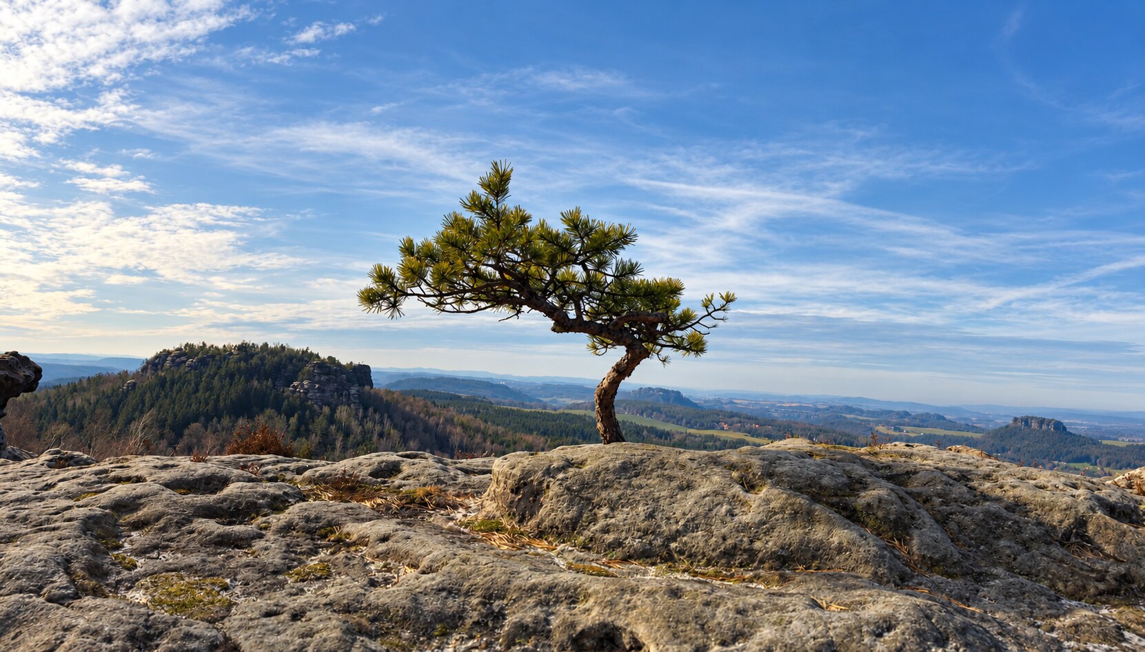 Einzelne Kiefer auf einem Sandsteinfelsen mit weitem Panorama